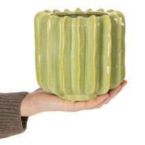 položky Květináč na kaktusy, ideální miska pro exotické bytové doplňky, 16 cm