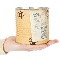 položky Květináč/plechovák ve vintage vzhledu s nápisem pro interiérovou dekoraci, 11 cm, 3 kusy