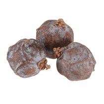 položky Jalovcové šišky syrský jalovec přírodní Ø1,5–2,5 cm 1 kg