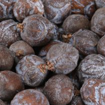 položky Jalovcové šišky syrský jalovec přírodní Ø1,5–2,5 cm 1 kg