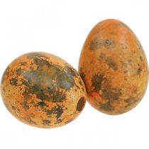 položky Křepelčí vajíčka dekorace vyfouknutá vajíčka oranžová meruňka 3cm 50 ks