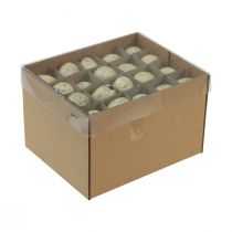 položky Dekorace z křepelčích vajec Krém na vyfouknutá vajíčka 3cm 50 ks