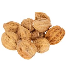 položky Vlašské ořechy, přírodní produkt pro dekoraci stolu a kutilské projekty. Přírodní vlašské ořechy, 4-5 cm, 300 g.
