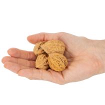 položky Vlašské ořechy, přírodní produkt pro dekoraci stolu a kutilské projekty. Přírodní vlašské ořechy, 4-5 cm, 300 g.