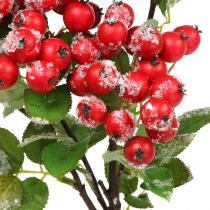 Vánoční větve s červenými bobulemi, zimní dekorace, harpberry red snowed L58cm