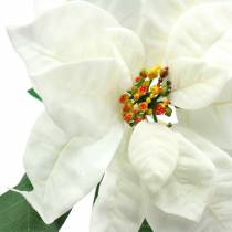 Umělá květina vánoční hvězda bílá 67cm