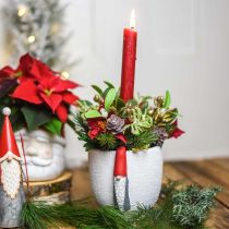 položky Vánoční květináč s trpaslíkem, adventní dekorace, betonový květináč bílý, červený Ø8cm V12,5cm 2ks