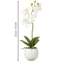 položky Umělé květiny bílé orchideje v květináči Phalaenopsis V33cm