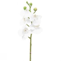 Bílá umělá orchidej Phalaenopsis Real Touch 32cm