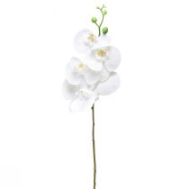 Bílá umělá orchidej Phalaenopsis Real Touch 85cm