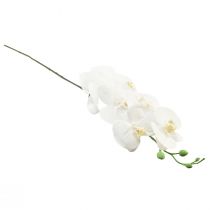 položky Bílá umělá orchidej Phalaenopsis Real Touch 85cm