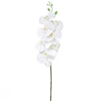 položky Bílá umělá orchidej Phalaenopsis Real Touch H83cm