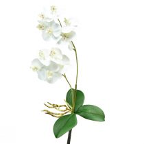 položky Bílá orchidej na trsátko umělá Phalaenopsis Real Touch 39cm