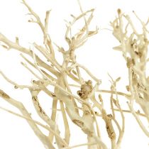 položky White Bush bělený 5 ks
