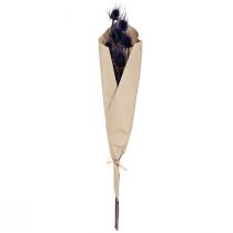položky Teasel Sušené květiny Teasel Teasel Fialový 55cm 10 hlav