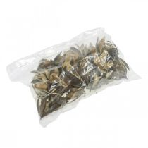 položky Přírodní dekorace z divoké lilie, exotické sušené květiny 6-8 cm, 50 ks