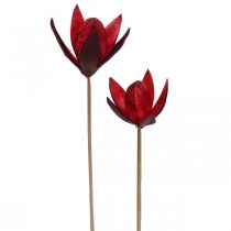Divoká lilie na stonku červená Ø6,5cm 35cm 45str