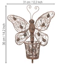 položky Kovová lucerna, nástěnná dekorace, motýl, rezavá úprava, 36,5 cm