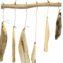 položky Dekorace námořní ryby, zvonkohra naplaveného dřeva, dřevěná dekorace D50cm Š30cm