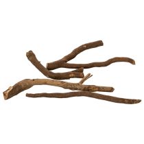 položky Dekorativní dřevěné větve a podnože, přirozeně sušené, 18 cm, 500 g