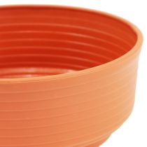 položky Z-miska plastová Ø 16cm - 22cm 10 ks