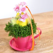 položky Květinový kelímek s podšálkem pro kreativní zahrady, 11 cm, 6 kusů