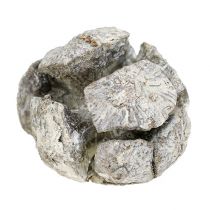 Cypřišové šišky 3cm bílé prané 500g