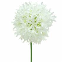 položky Okrasná cibule Allium umělá bílá Ø12cm V62cm