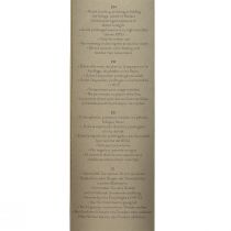 položky Růže nekonečna s konzervovanými listy Amorosa červená L54cm