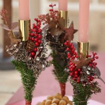 položky Trsátko na bobule červené 23cm 12 ks