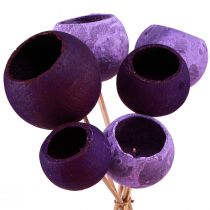 položky Bell Cup na špejli Exotická suchá dekorace Purple Berry 44cm 15 ks