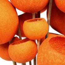 Bell Cup Mix na špejli Orange 15ks