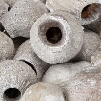 položky Bellgums bíle natřené 2cm - 5cm 500g