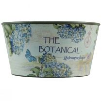 položky Květináč na květiny hortenzie kulatá plastová Ø21cm V11cm