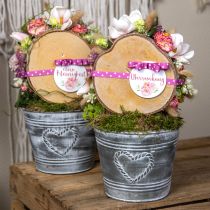 položky Květináč Shabby Chic květináč kovové srdce Ø22cm V17,5cm