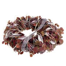 položky Brachyciton ostružinová poleva 500g