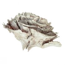 položky Cedrové šišky řezané jako růže cedrová růže 4-6cm bílá/přírodní 50 kusů