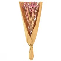 položky Curry Herb Slaměnka umělá růžová L28cm 12 ks 1 svazek