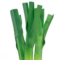 položky Dekorační zelenina jarní cibulka zelená bílá Ø1cm L28cm 3 ks