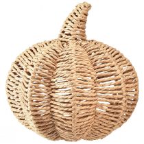 položky Dekorativní dýňová rafie přírodní rustikální podzimní dekorace Ø25cm V25cm