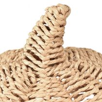 položky Dekorativní dýňová rafie přírodní rustikální podzimní dekorace Ø25cm V25cm