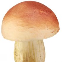 položky Ozdobné žampiony na špejli malé a velké hnědé H10/11,5cm 8 kusů