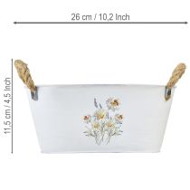 položky Dekorativní oválná kovová miska, bílá s přírodním květinovým dekorem, D26 cm