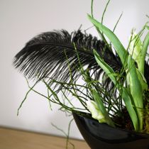 položky Ozdobné pštrosí peří černé peří 38-40cm 2 ks