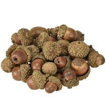 položky Žaludy na dekoraci, podzimní dekorace, přírodní podzimní plody Ø1,5 – 2,5 cm D1,5 – 3 cm 300 g