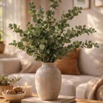 položky Konzervované dekorativní větve a listy eukalyptu, sušené kulaté dekorace, zelené, 150 g