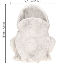 položky Žába dekorativní květináč květináč betonová šedá H18,5cm