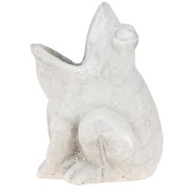 položky Žába dekorativní květináč květináč betonová šedá H18,5cm