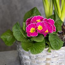 položky Pletený koš jako stylová květinová dekorace do obývacího pokoje. Velikonoční koš, 23 cm, 6 kusů.