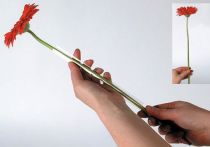 položky Podpěrná hadice Gerbera 200m